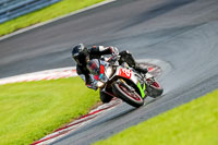 PJ-Motorsport-2019;anglesey;brands-hatch;cadwell-park;croft;donington-park;enduro-digital-images;event-digital-images;eventdigitalimages;mallory;no-limits;oulton-park;peter-wileman-photography;racing-digital-images;silverstone;snetterton;trackday-digital-images;trackday-photos;vmcc-banbury-run;welsh-2-day-enduro